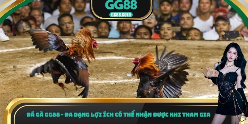 Đá gà GG88